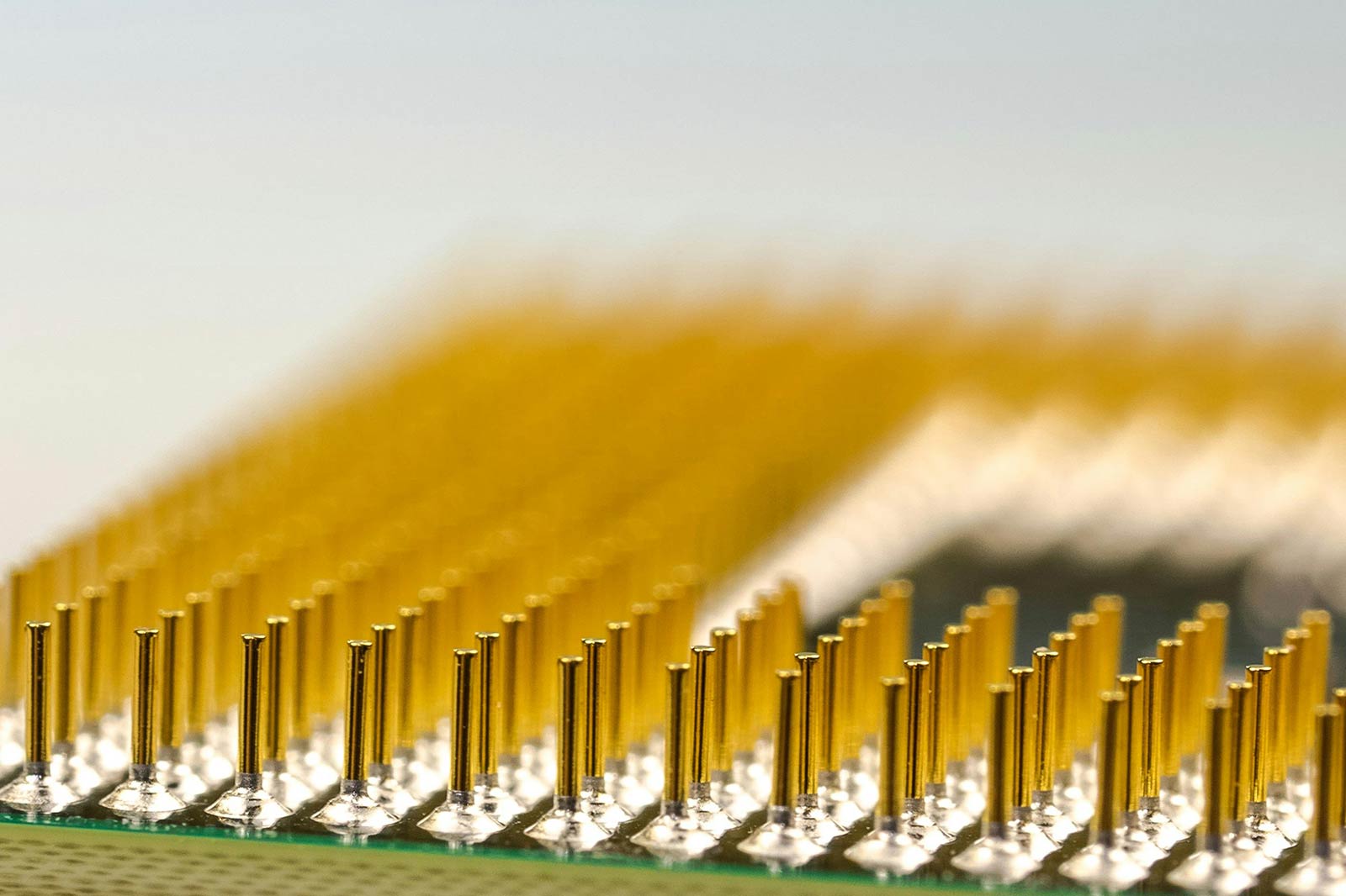 A close-up photo of gold-plated processor pins